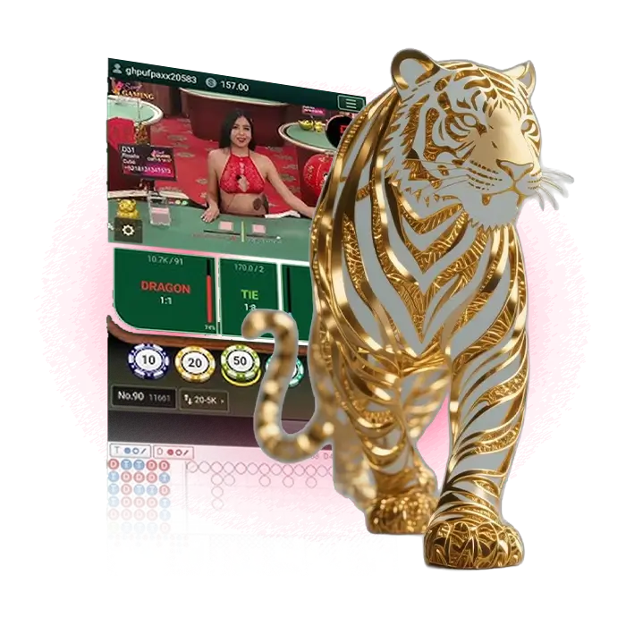 ทำความเข้าใจง่ายคู่มือเล่นเสือมังกร Siam855