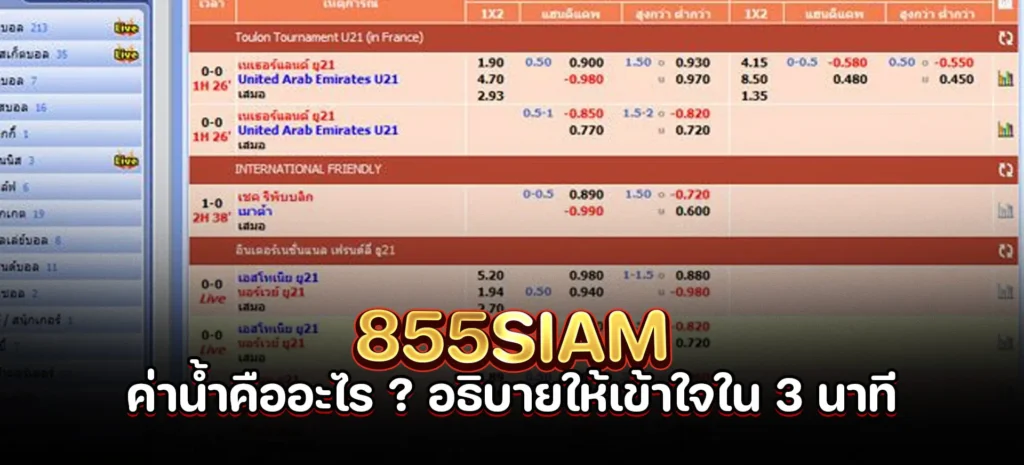 ค่าน้ำคืออะไร ?
